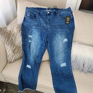 NWT DG2 By Diane Gilman Womens rhinestone classic Jeans denim 24W